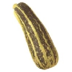 Calabacín