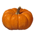 Calabaza