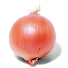 Cebolla