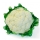 Coliflor