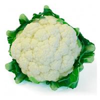 Coliflor