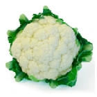 Coliflor