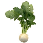 Nabo