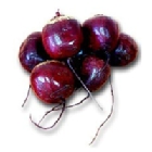 Remolacha
