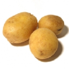 Patata