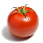 Tomate