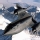 SR-71 Blackbird (YF-12)