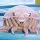 Is�podo gigante