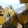 Rotterdam Cubic Houses