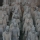 Guerreros de Terracota