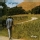 Neil Young - Old Ways