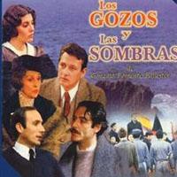 Los gozos y las sombras