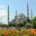 Estambul