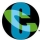 Cognizant Technology Solutions Corporation