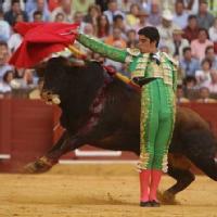 Torero