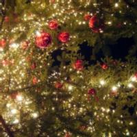 Navidad