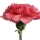 Clavel