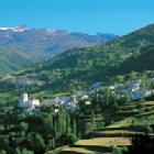 Ranking de los municipios m�s extensos de Murcia