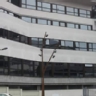 Asignaturas m�s �tiles del Grado de Biolog�a en la Universidad de A Coru�a
