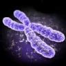 Asignaturas m�s �tiles de Licenciatura en Biolog�a por la Universidad de A Coru�a