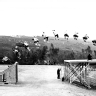 Mejor Skater 2011