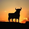 �Cu�l es el eslogan tur�stico que te gusta m�s de las Comunidades Aut�nomas de Espa�a?