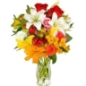 �Cu�l es tu flor preferida?