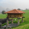 Ranking de las palabras t�picas asturianas m�s bonitas