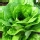 Ranking de las verduras y hortalizas m�s ricas del mundo