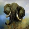 Ranking de los mam�feros terrestres m�s r�pidos de la naturaleza