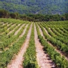 Ranking de las ciudades y pueblos m�s bonitos de La Rioja