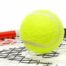 �Cu�l es el mejor Grand Slam de tenis?