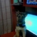 Andres